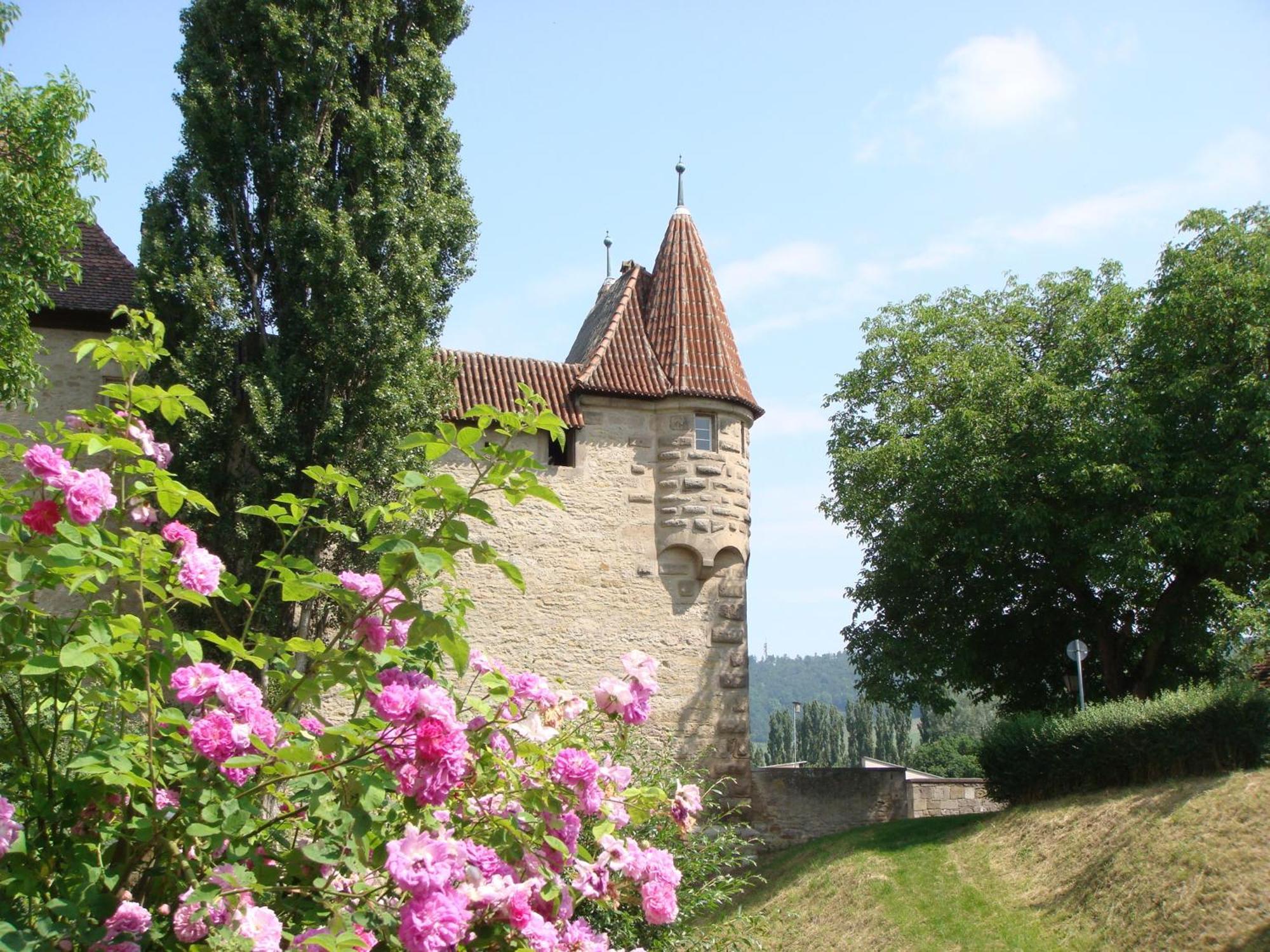 Weingut Gästehaus Weigand Iphofen Exterior foto