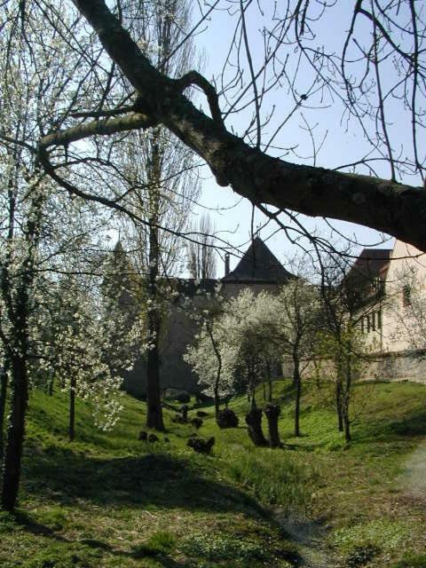 Weingut Gästehaus Weigand Iphofen Exterior foto